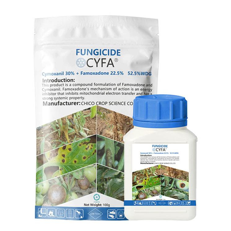 famoxadone cymoxanil fungicide