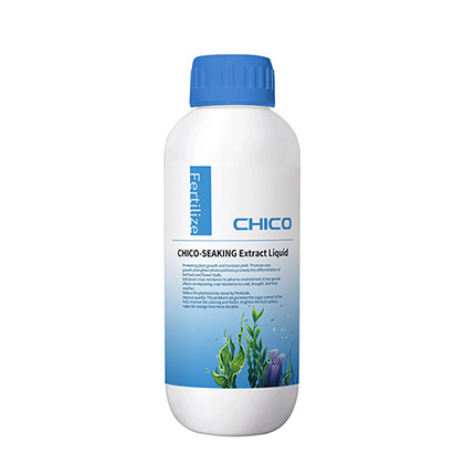 CHERCHE DE CHICO®Engrais organique liquide d'extrait d'algues