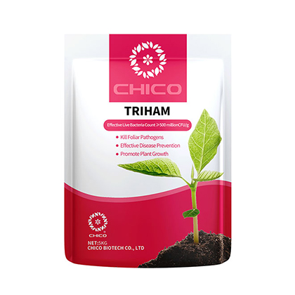 TRIHAM®-Bio Trichoderma harzianum Biostimulant pour la maladie des cultures