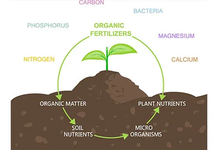 Développer l'agriculture écologique et faire bon usage des engrais biologiques