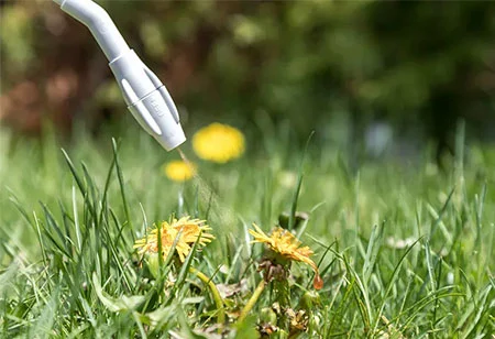 L'application des herbicides fonctionne Merveilles