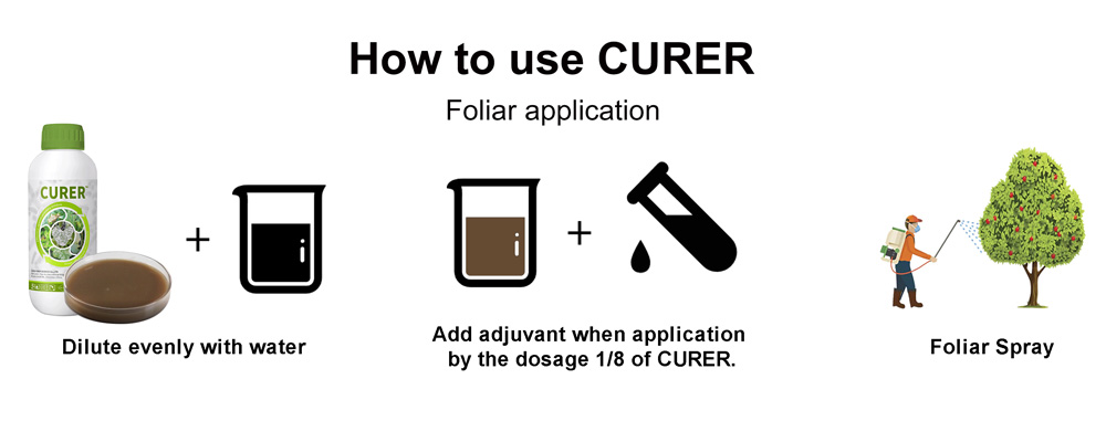 Uses-and-Recommendations-06.jpg Uses-and-Recommendations-06.jpg