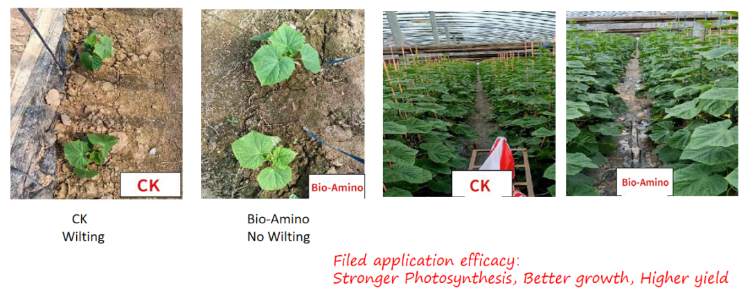 Check out CHICO Biological Products and Application Methods 12.png Check out CHICO Biological Products and Application Methods 12.png