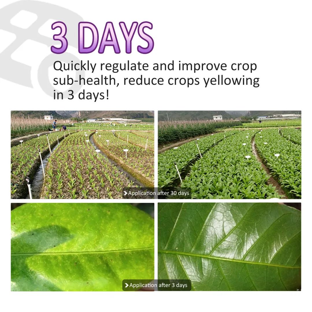 Check out CHICO Biological Products and Application Methods 8.jpg Check out CHICO Biological Products and Application Methods 8.jpg