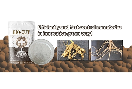 Nématodes à contrôle efficace et rapide de manière verte innovante!