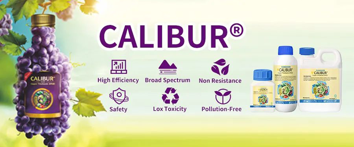 How-can-we-protect-crops-during-typhoon-season-02.jpg How-can-we-protect-crops-during-typhoon-season-02.jpg