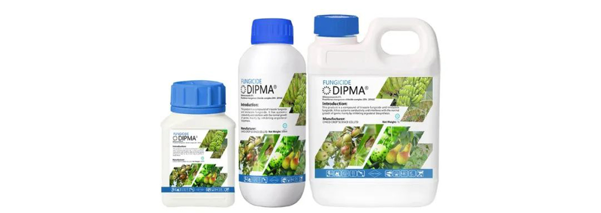 How-can-we-protect-crops-during-typhoon-season-05.jpg How-can-we-protect-crops-during-typhoon-season-05.jpg