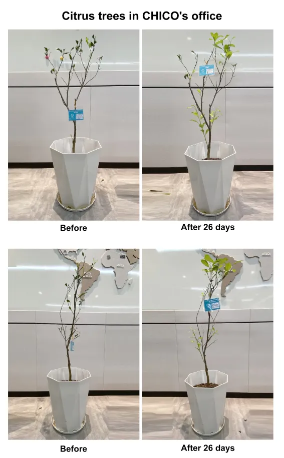arphagold-enhance-root-health-tolerance-resistance-of-crops_10.png arphagold-enhance-root-health-tolerance-resistance-of-crops_10.png