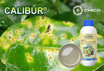 CALIBUR®: Fongicide de cuivre organique unique avec une excellente efficacité et une sécurité supérieure
