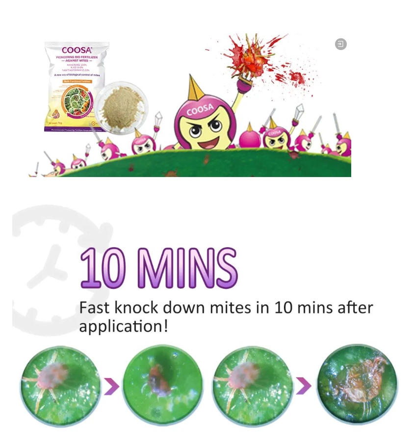 How_to_control_citrus_red_spider_mites_scientifically_04.png How_to_control_citrus_red_spider_mites_scientifically_04.png