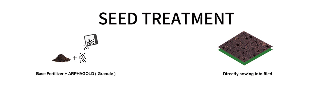 arphagold-application-guideline-for-rice-corn-cassava-potato-and-sugarcane-06.jpg