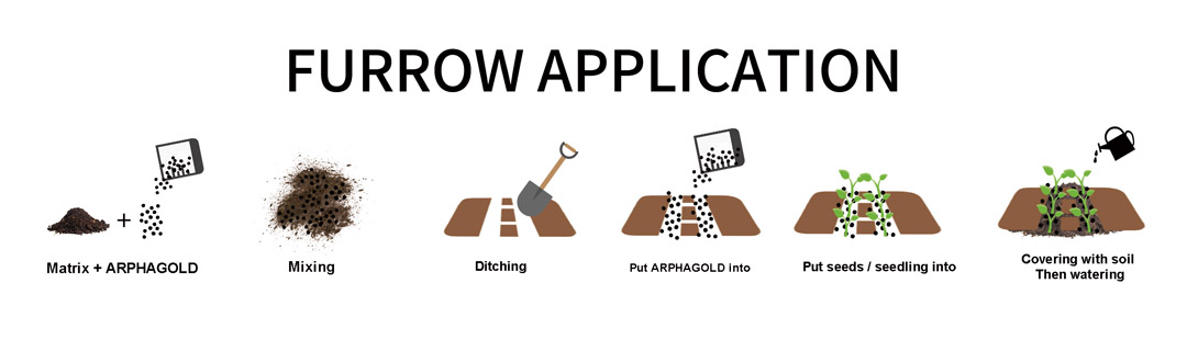 arphagold-application-guideline-for-rice-corn-cassava-potato-and-sugarcane-07.jpg arphagold-application-guideline-for-rice-corn-cassava-potato-and-sugarcane-07.jpg